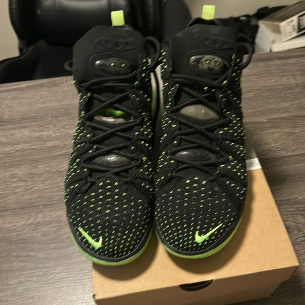 Lebron shoes